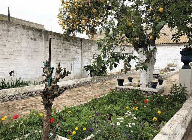 Jardín