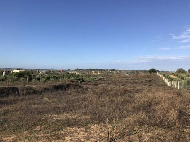 Terreno