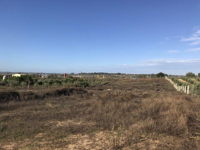 Terreno