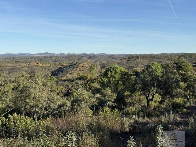 Vistas