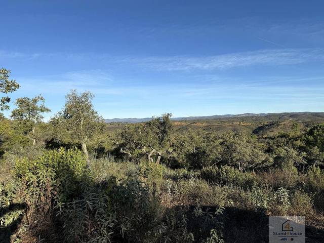 Vistas