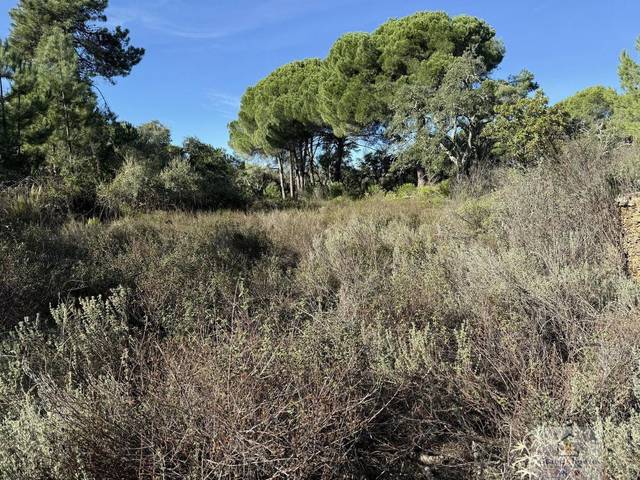 Terreno