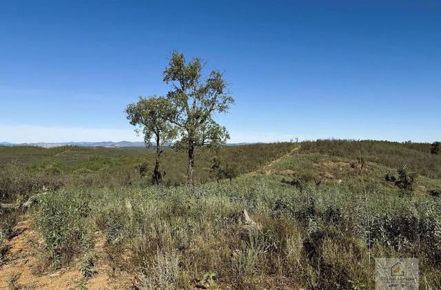 Terreno