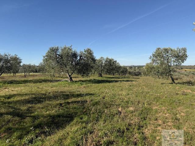 Terreno