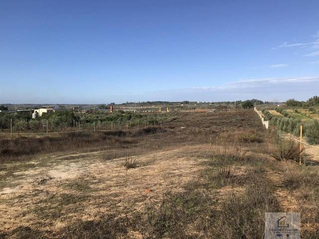 Terreno