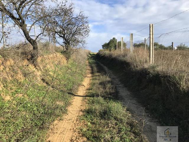Terreno