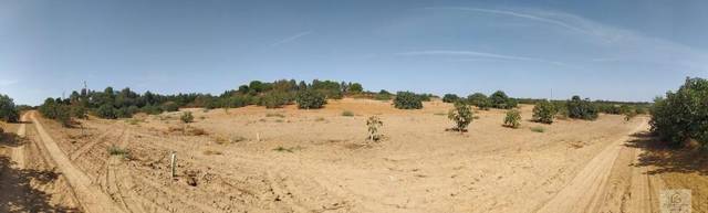 Terreno