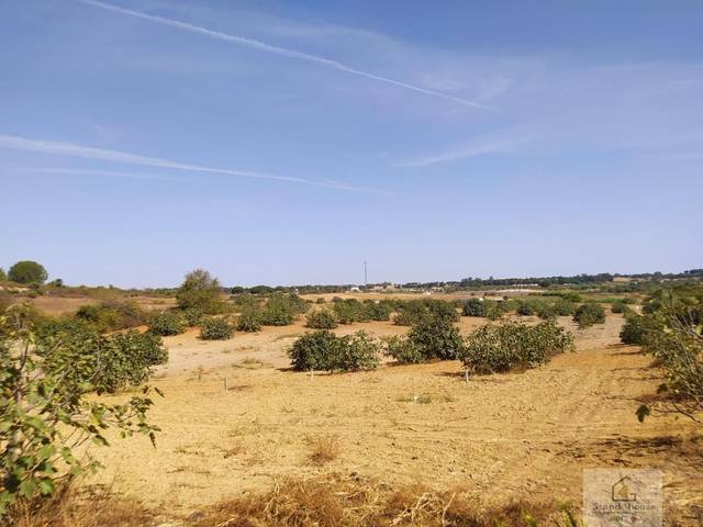Terreno