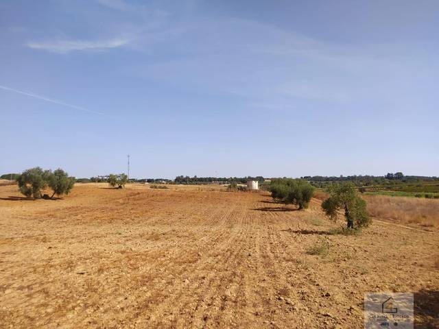 Terreno