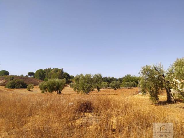 Terreno