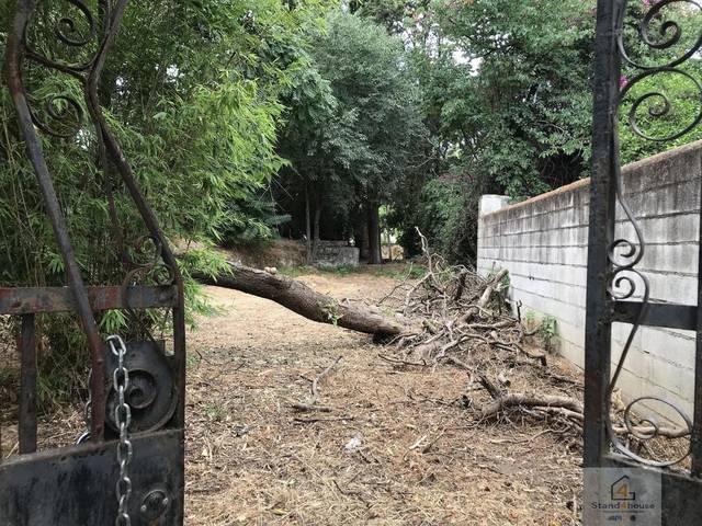 Terreno