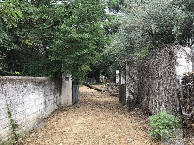 Terreno