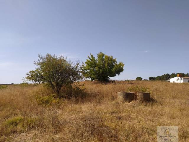 Terreno