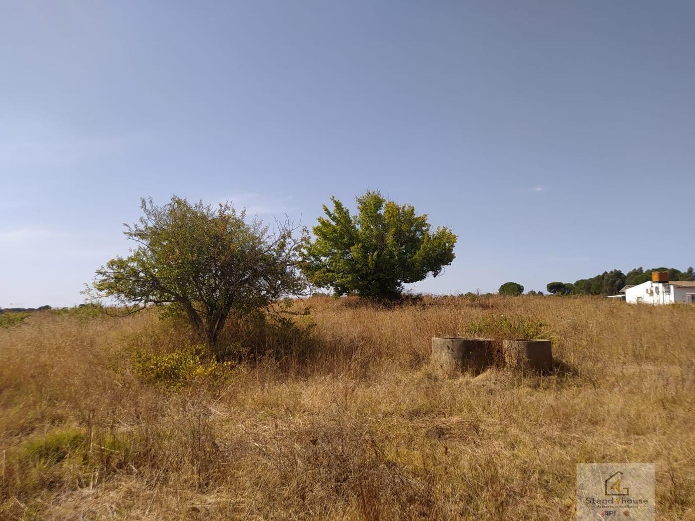 Terreno