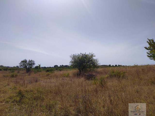 Terreno